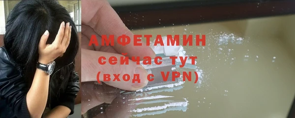 метадон Богданович