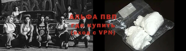 метадон Богданович