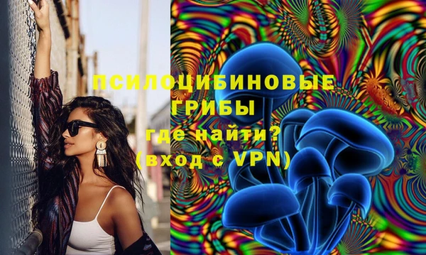 метадон Богданович