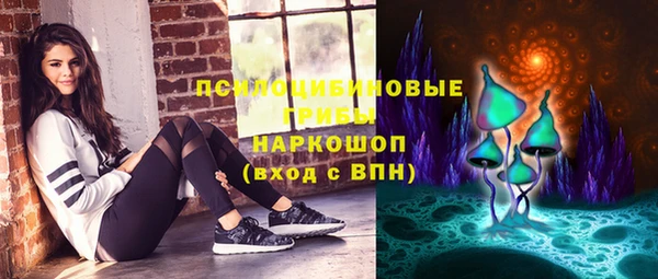 таблы Богородск
