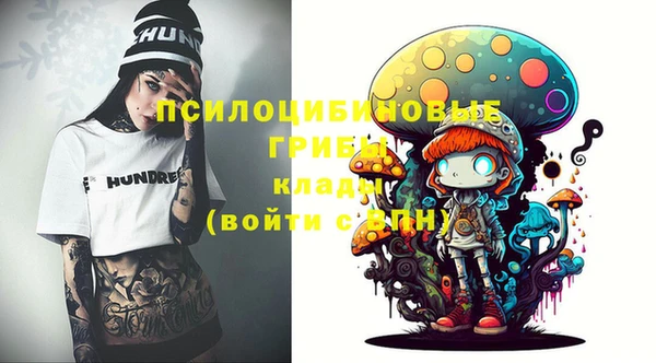 метадон Богданович