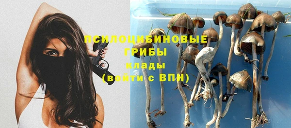 метадон Богданович