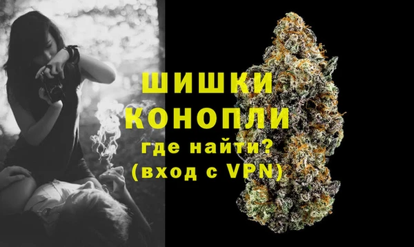 метадон Богданович