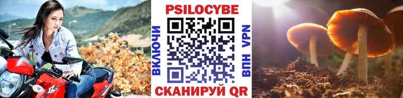 Галлюциногенные грибы Psilocybine cubensis  Купить закладки  Грязи 